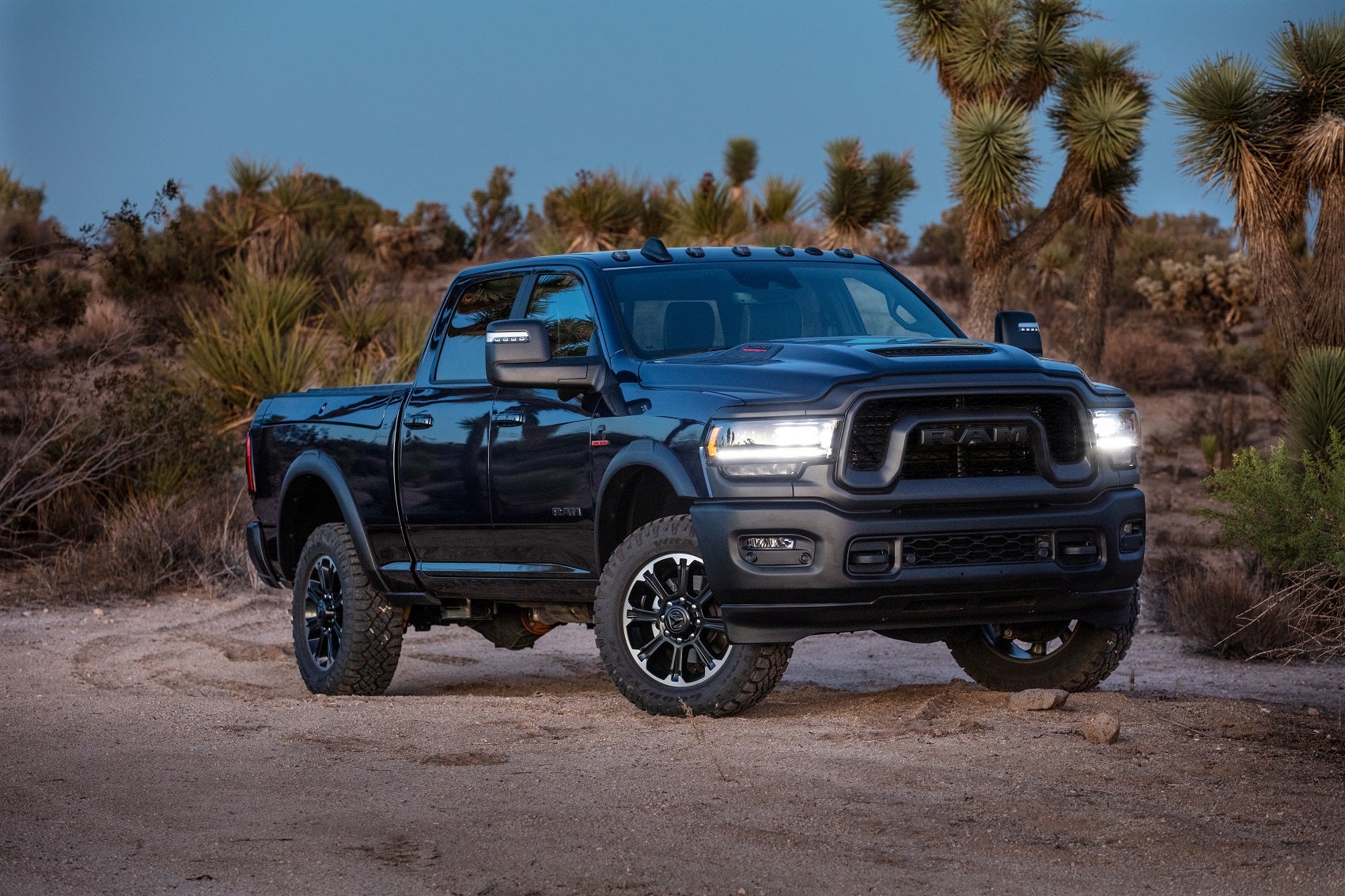 Black Ram truck among Joshua trees at sunset